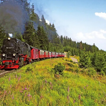 Ferienhaus Haus Siggi *