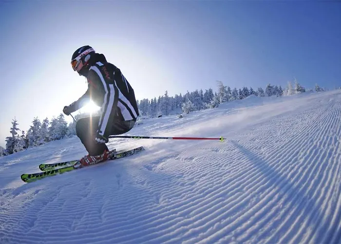 別荘 Haus Siggi ブラウンラーゲ