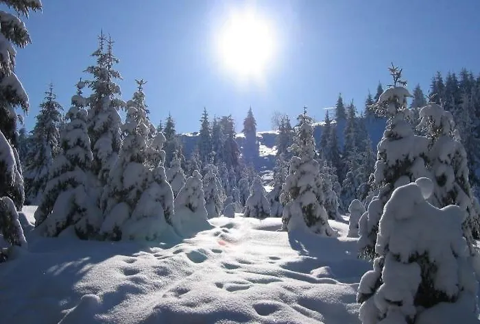 Haus Siggi ブラウンラーゲ