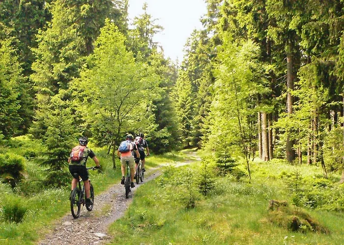 Haus Siggi 別荘 ブラウンラーゲ